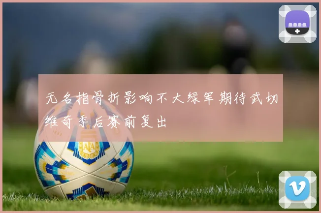 无名指骨折影响不大绿军期待武切维奇季后赛前复出