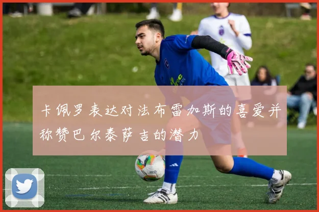 卡佩罗表达对法布雷加斯的喜爱并称赞巴尔泰萨吉的潜力