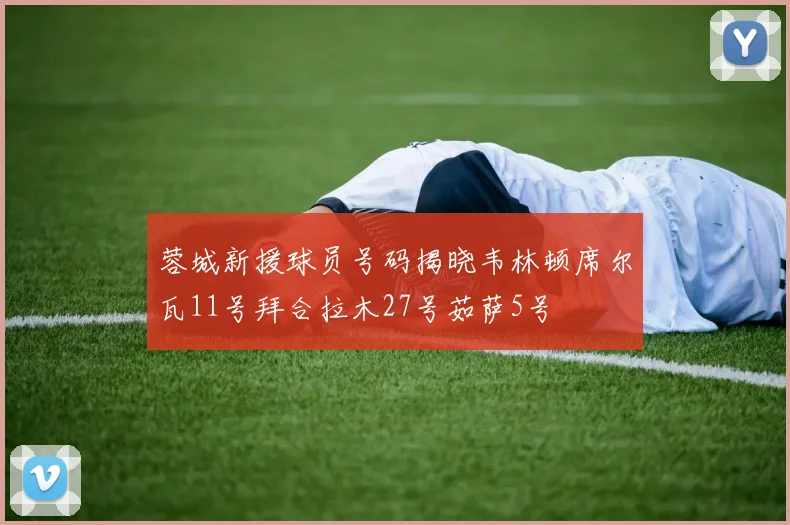 蓉城新援球员号码揭晓韦林顿席尔瓦11号拜合拉木27号茹萨5号