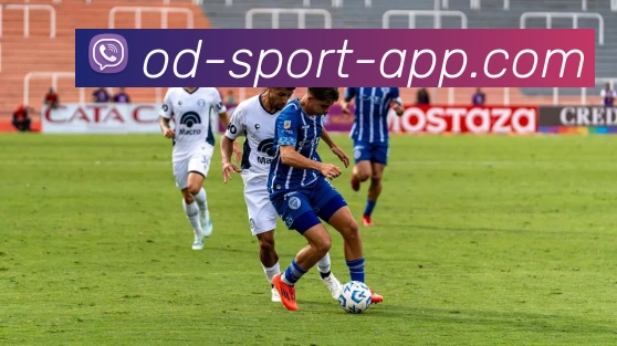 OD体育平台生态图